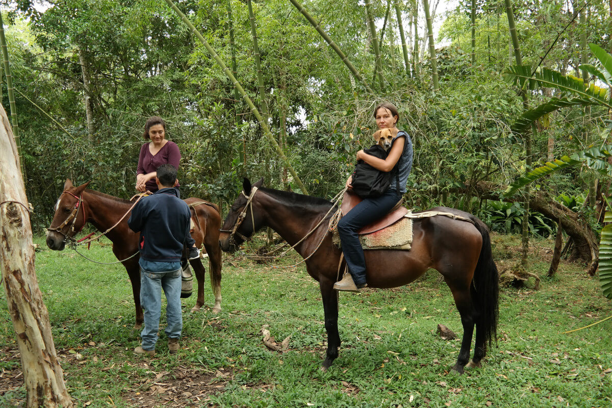 Pferdetour in San Agustin