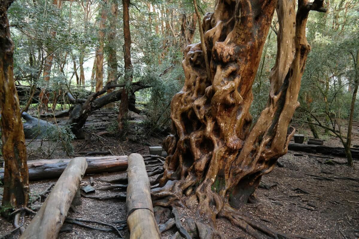 Nationalpark LLaoLlao