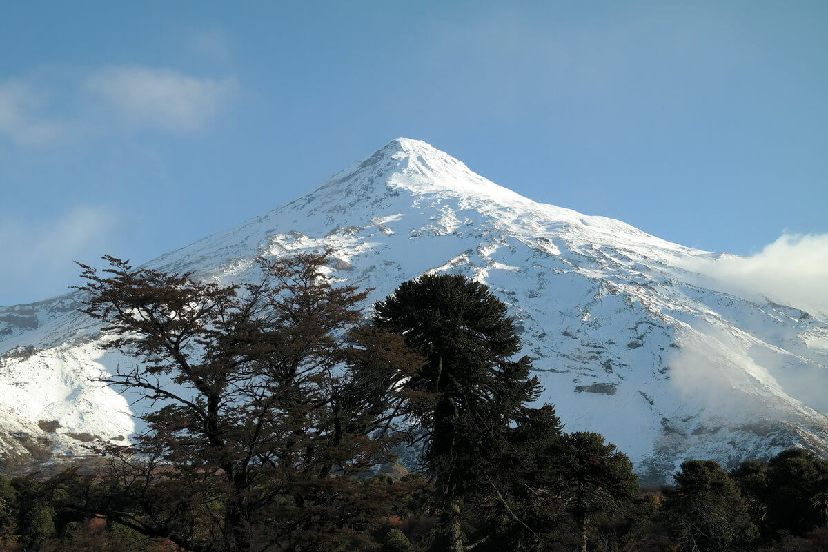 Nach Chile Nationalpark Lanin