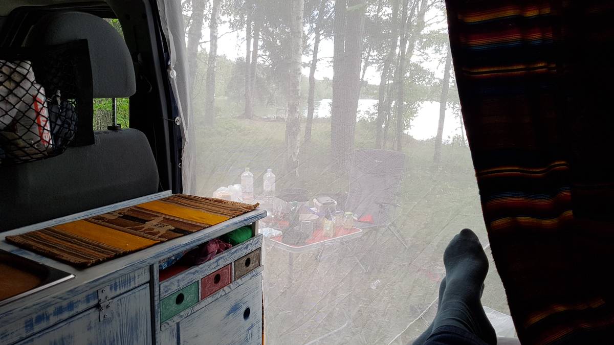 Blick auf Moskitos
