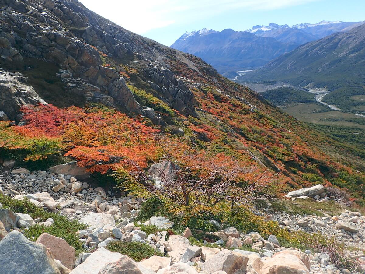 Sendero Cerro Fitz Roy