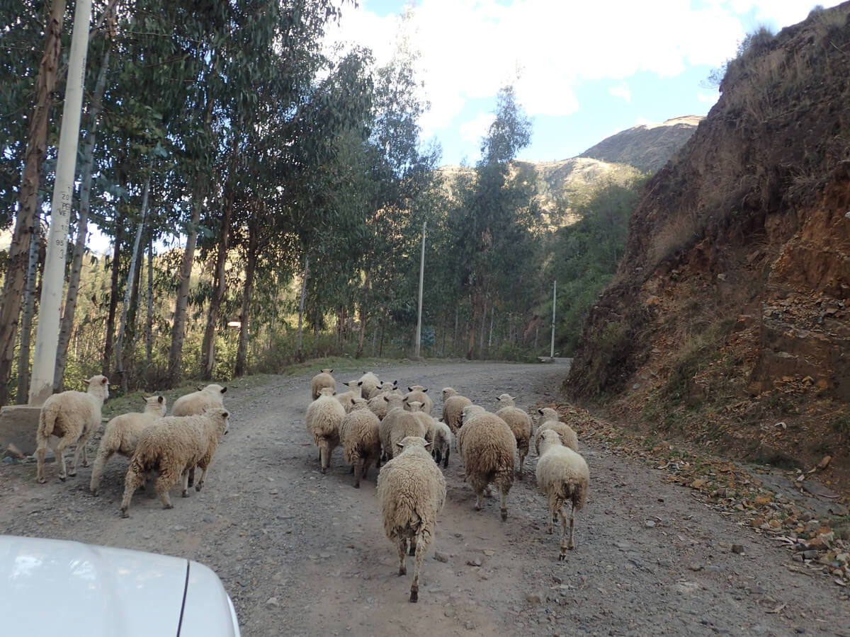 drive to Chavin