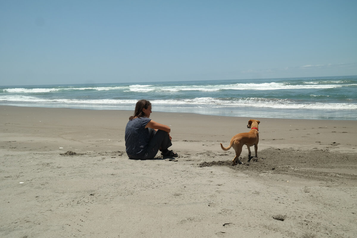 coastal drive in South Peru