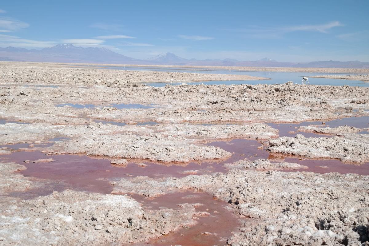 Laguna Chaxa