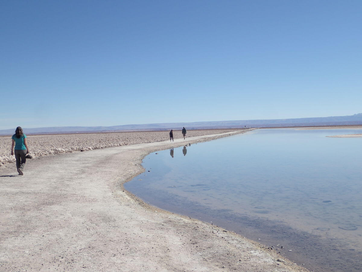 Laguna Chaxa