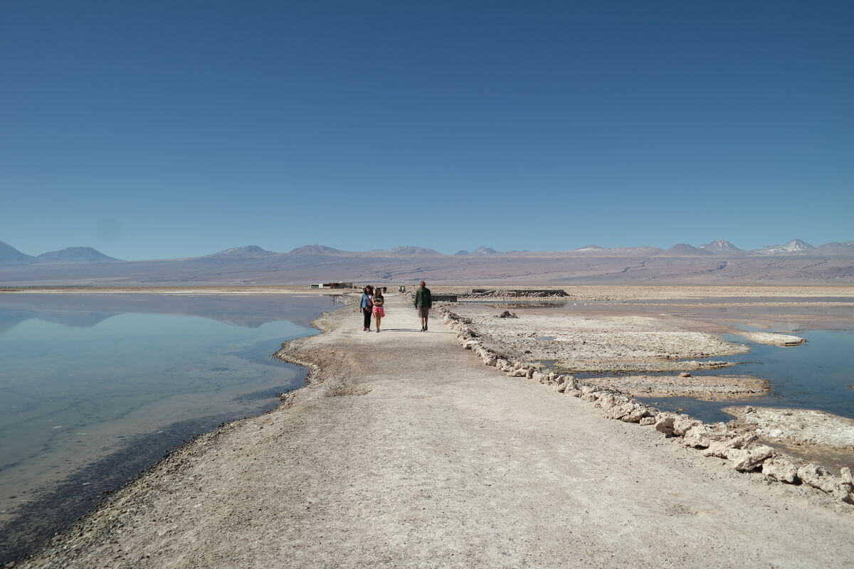 Laguna Chaxa