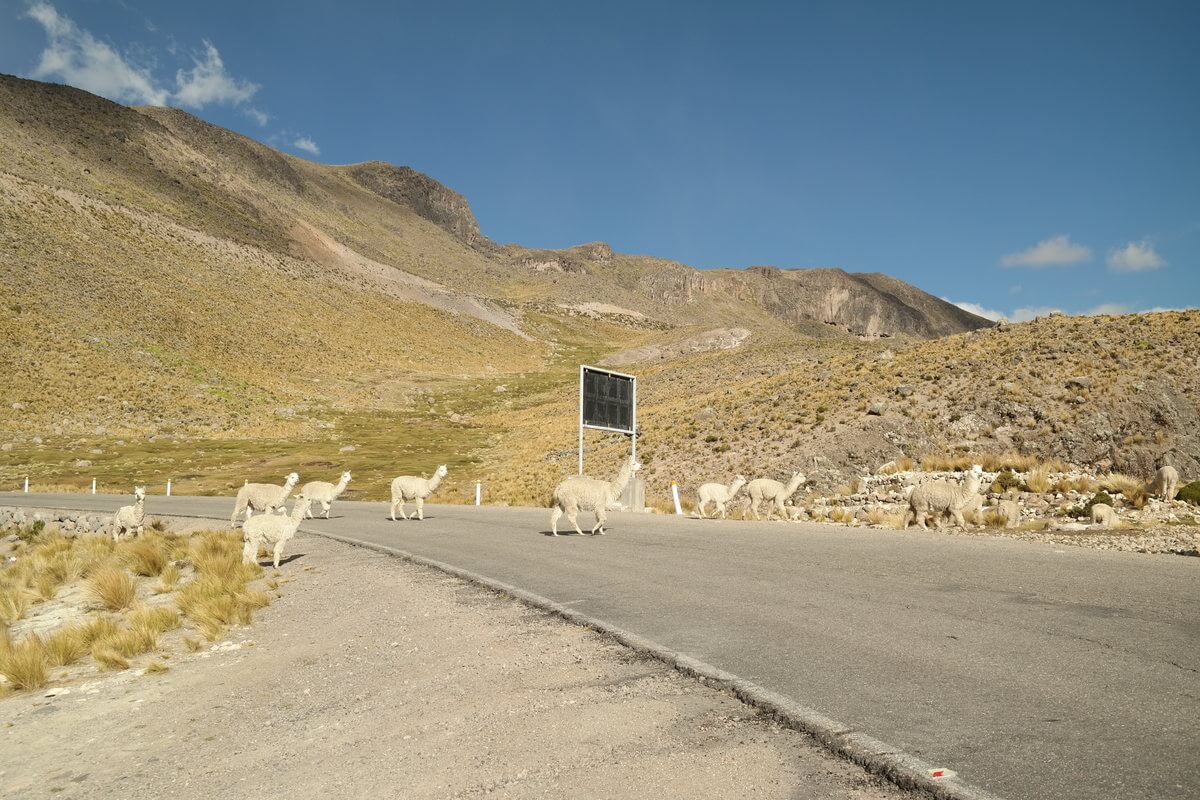 Nach Colca Canyon