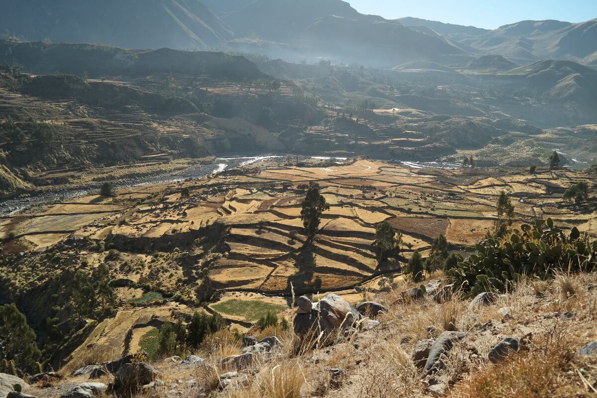 Colca Canyon