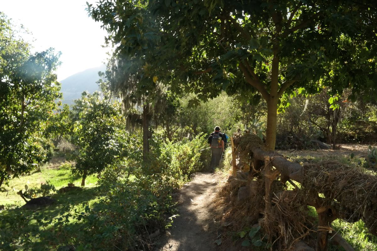 Colca Canyon first day treck