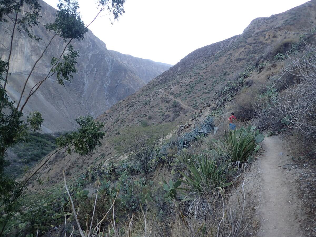 Colca Canyon first day treck