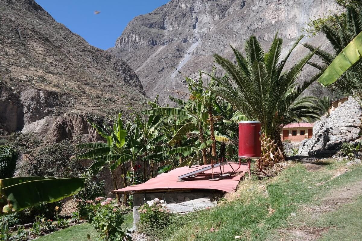 Colca Canyon 2nd day at Oasis