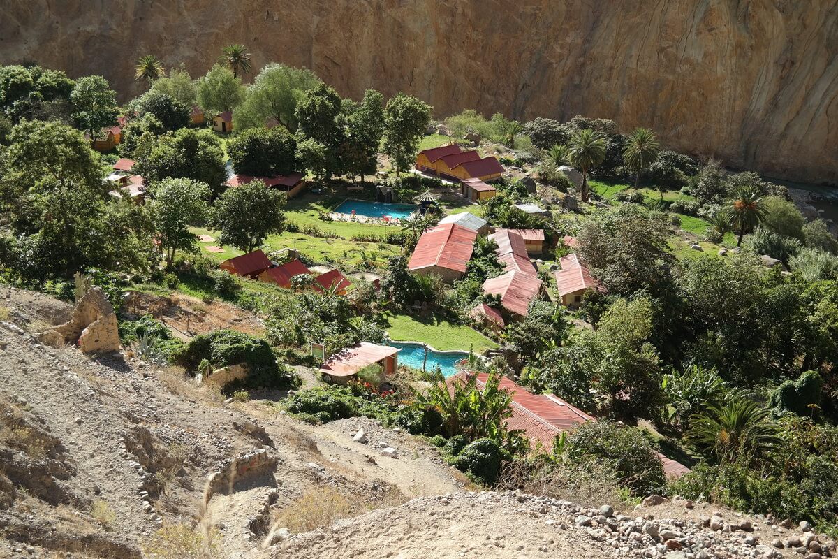 Colca Canyon 2nd day at Oasis