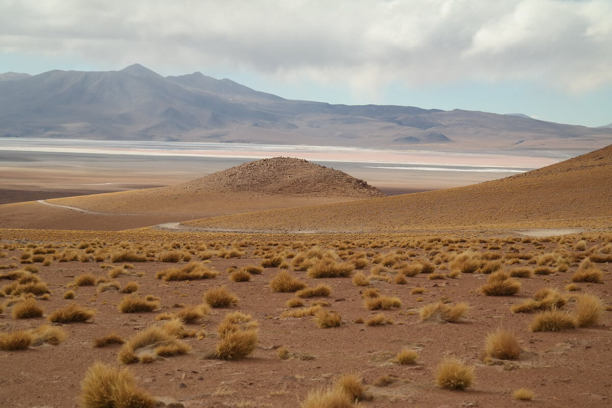 At Laguna Colorada