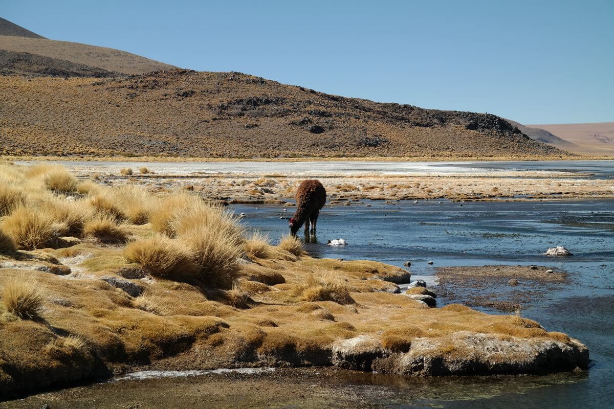 At Laguna Colorada