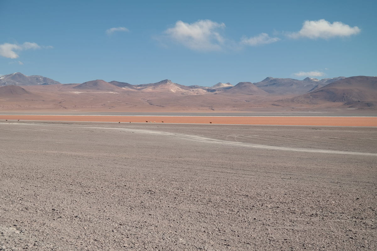 At Laguna Colorada