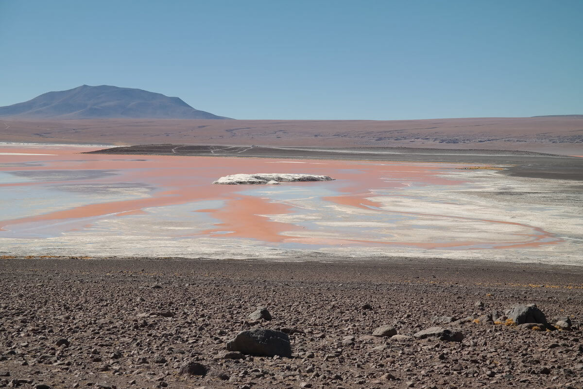 At Laguna Colorada