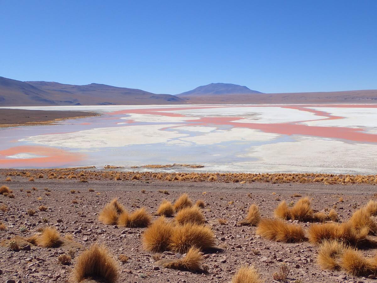 At Laguna Colorada