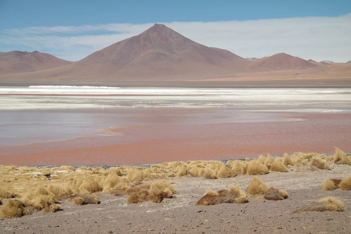 At Laguna Colorada