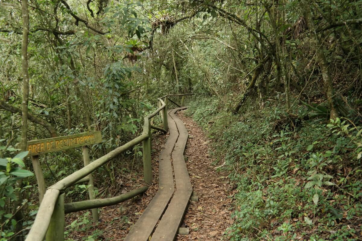 Cayas Nationalpark