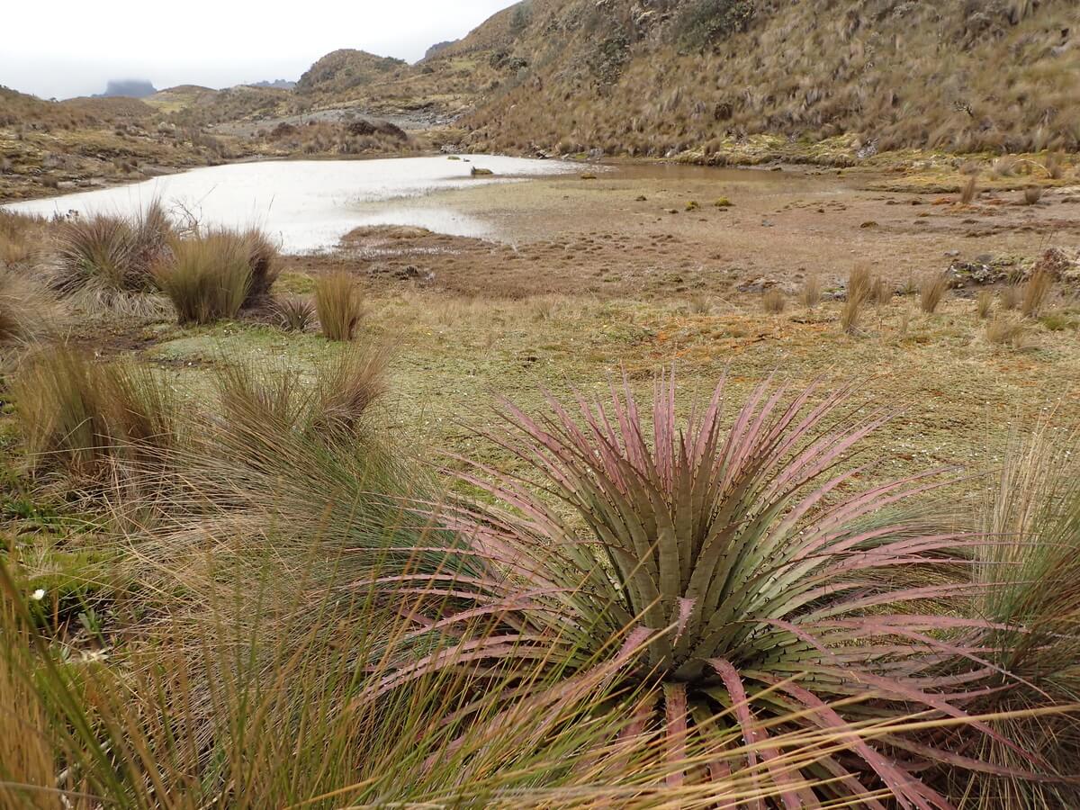 Cayas Nationalpark