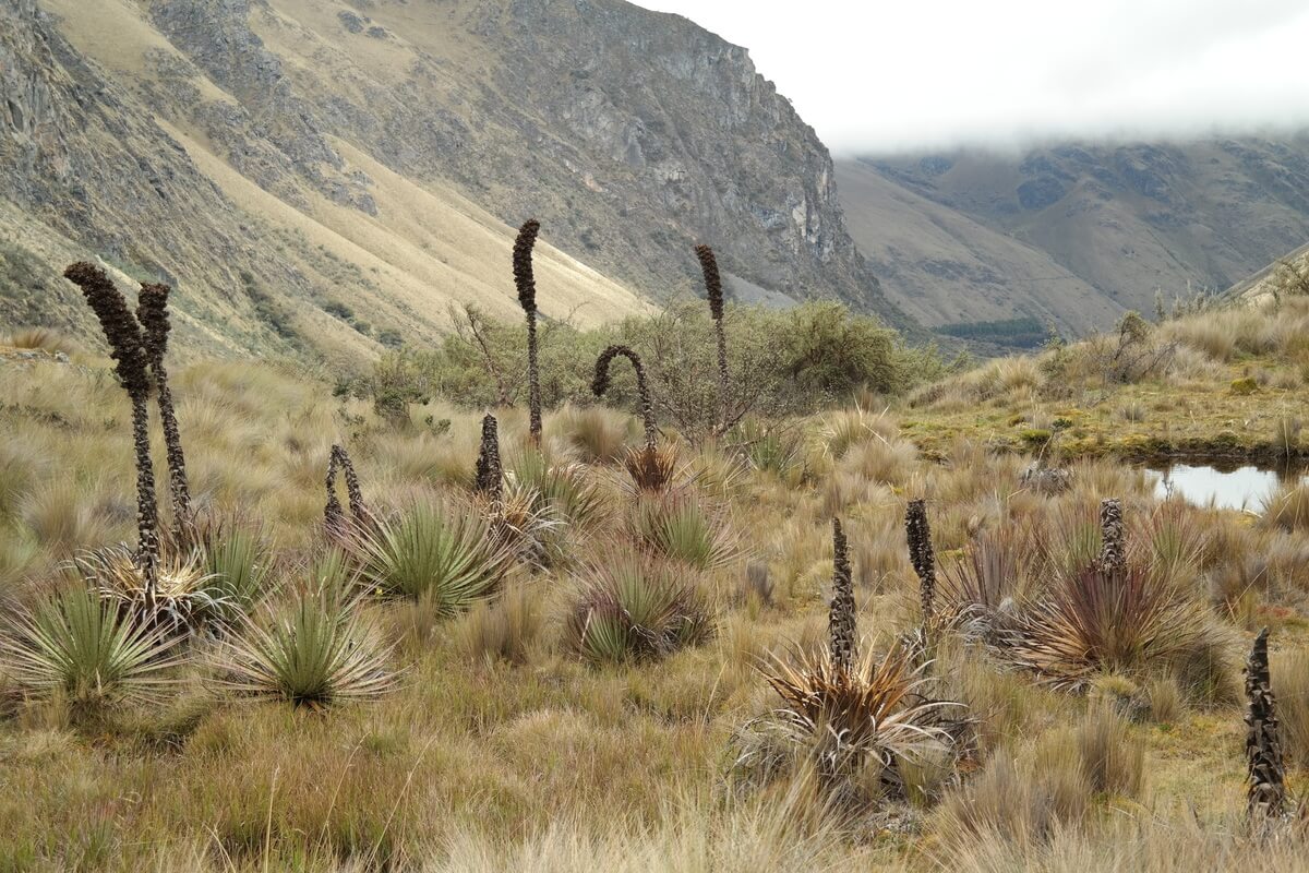 Outside Cayas Nationalpark