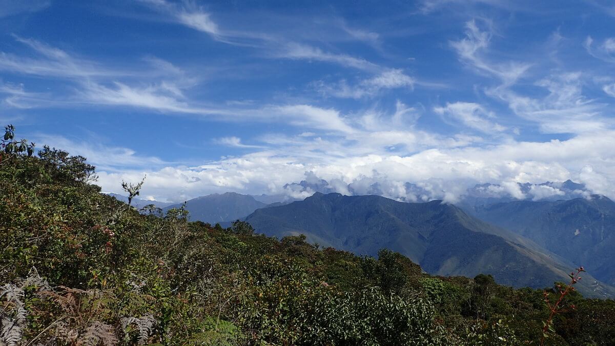 Cerro Uchumanchi Coroico