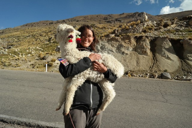 Colca Canyon - Das grüne Paradies