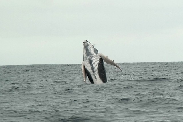 Ecuador South