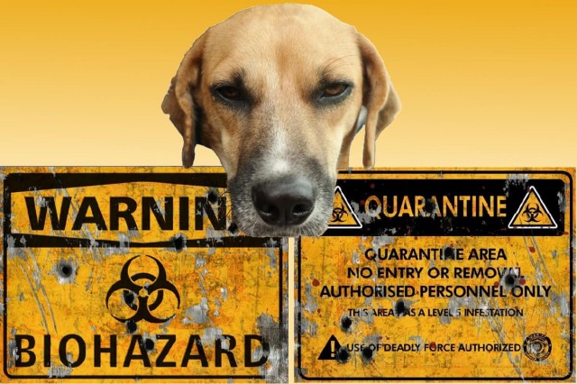 ! Danger Biohazard !