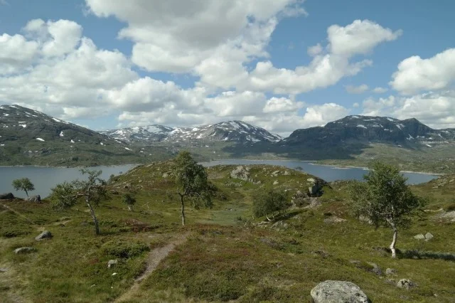 21Haukelifjell