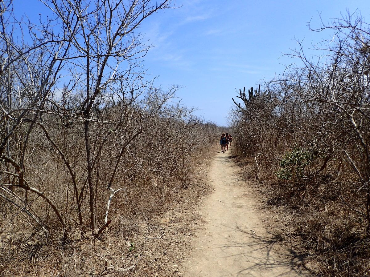 Machallila Nationalpark Frailes Beach