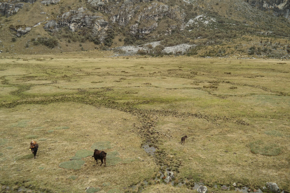 Nationalpark Huascaran - Hike to Laguna