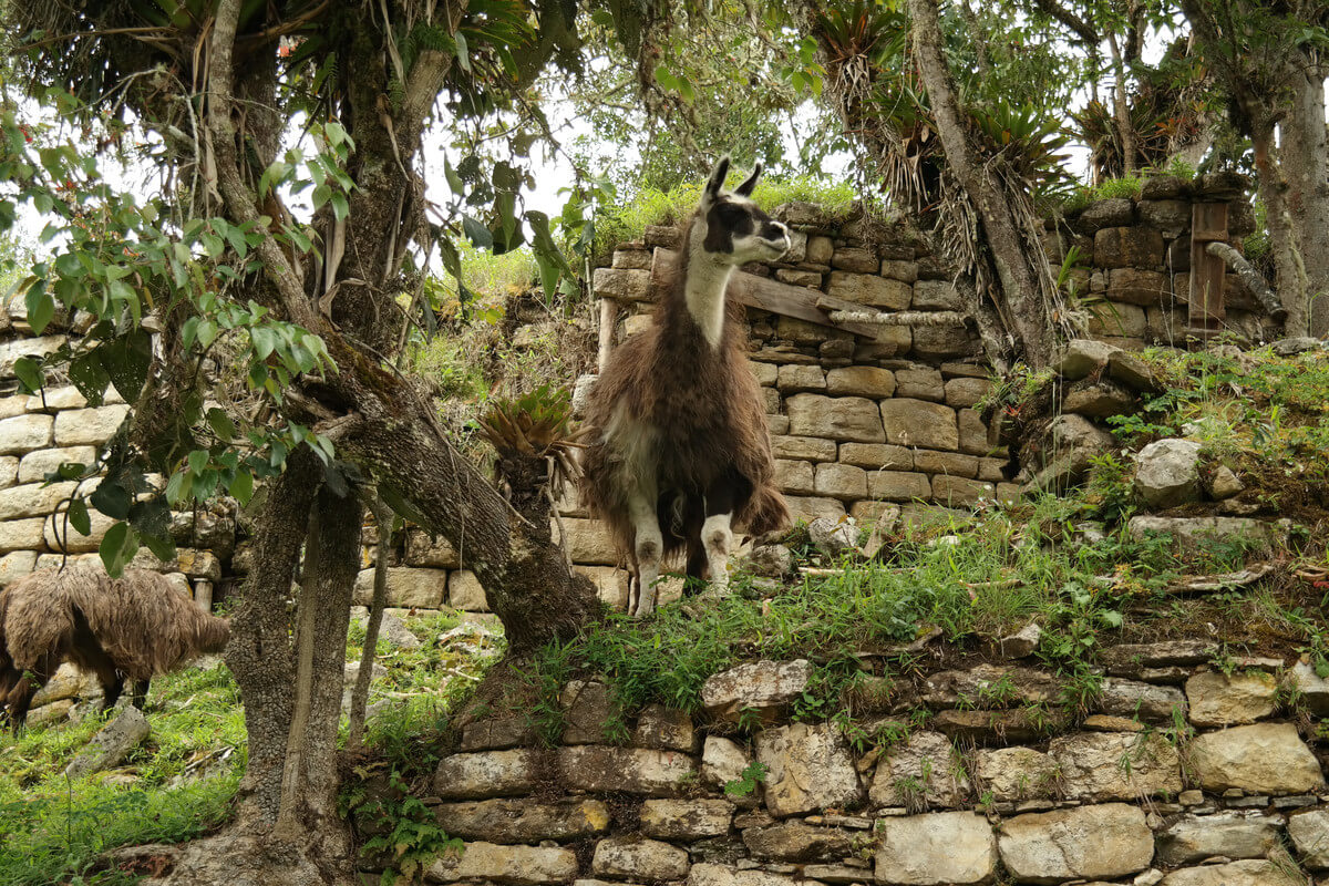 Keulap ruins