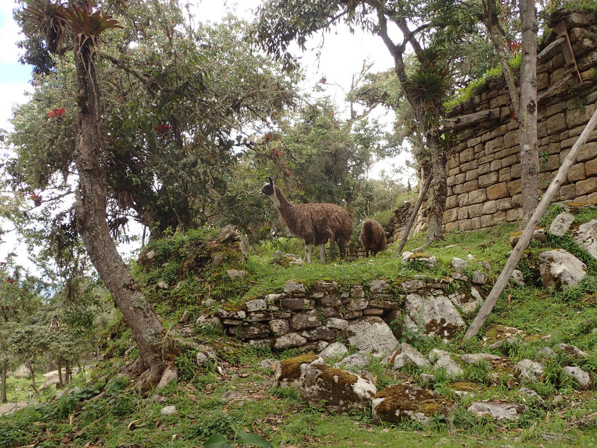 Keulap ruins