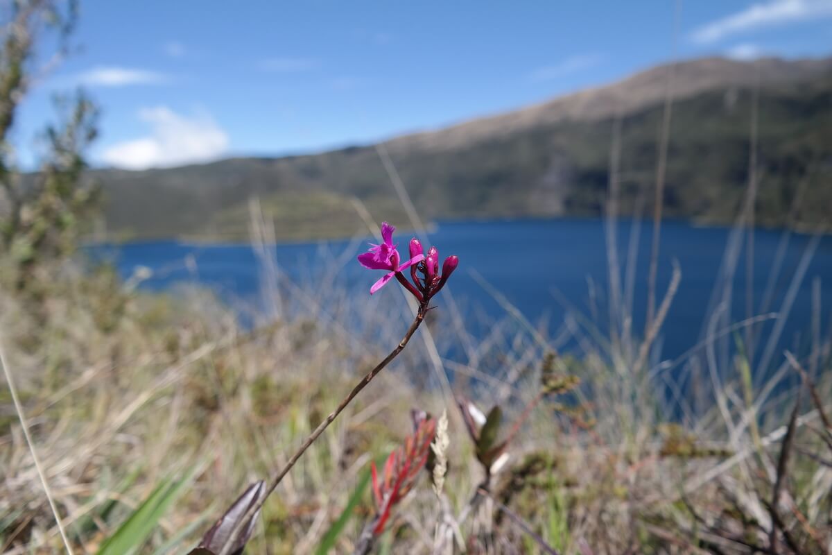 Laguna Quicocha