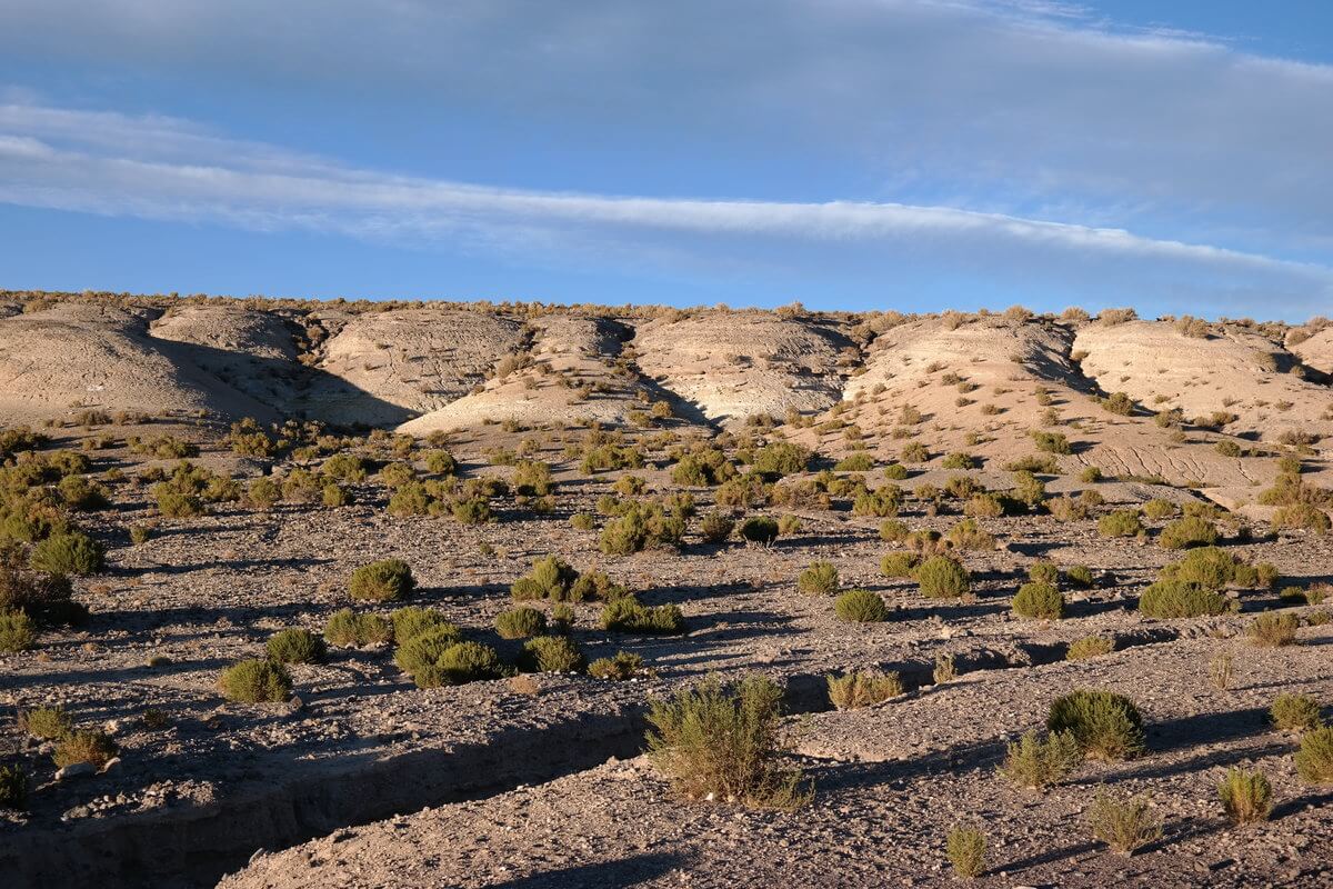 Isluga National Park