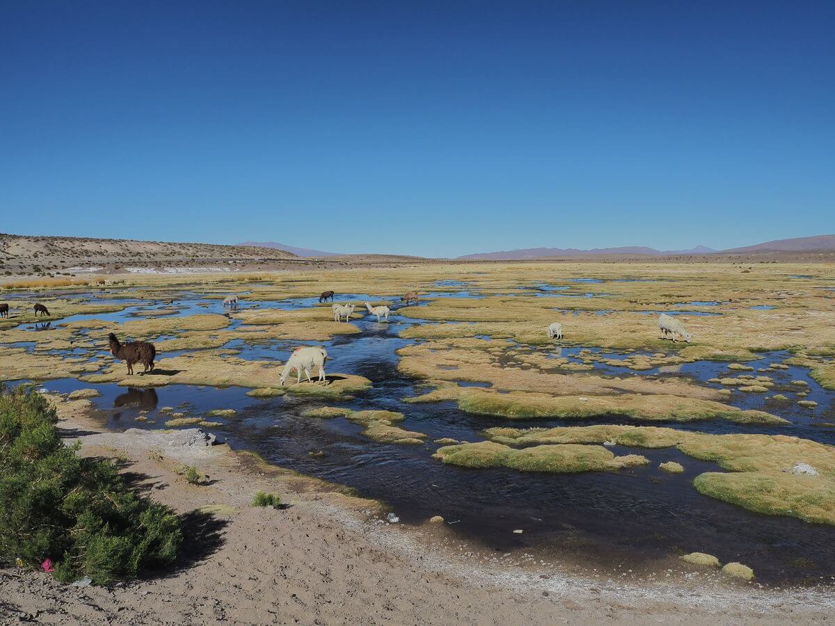 Isluga National Park