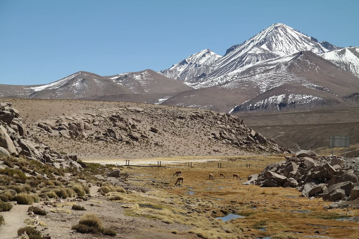 Lauca Nationalpark