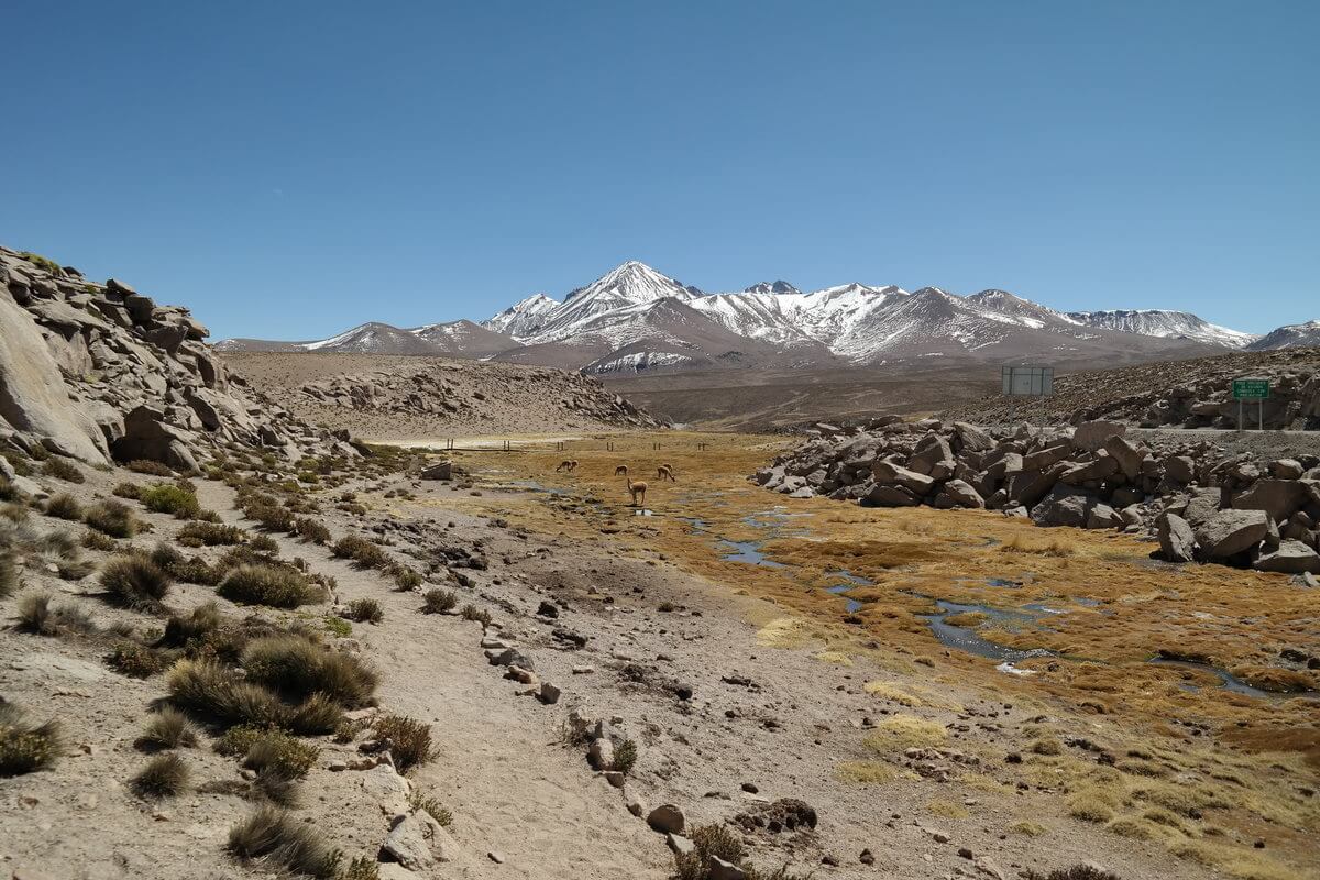 Lauca Nationalpark