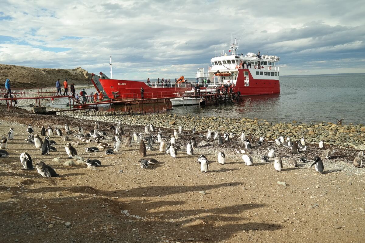 Magdalena Island time is up guys, the ship is leaving