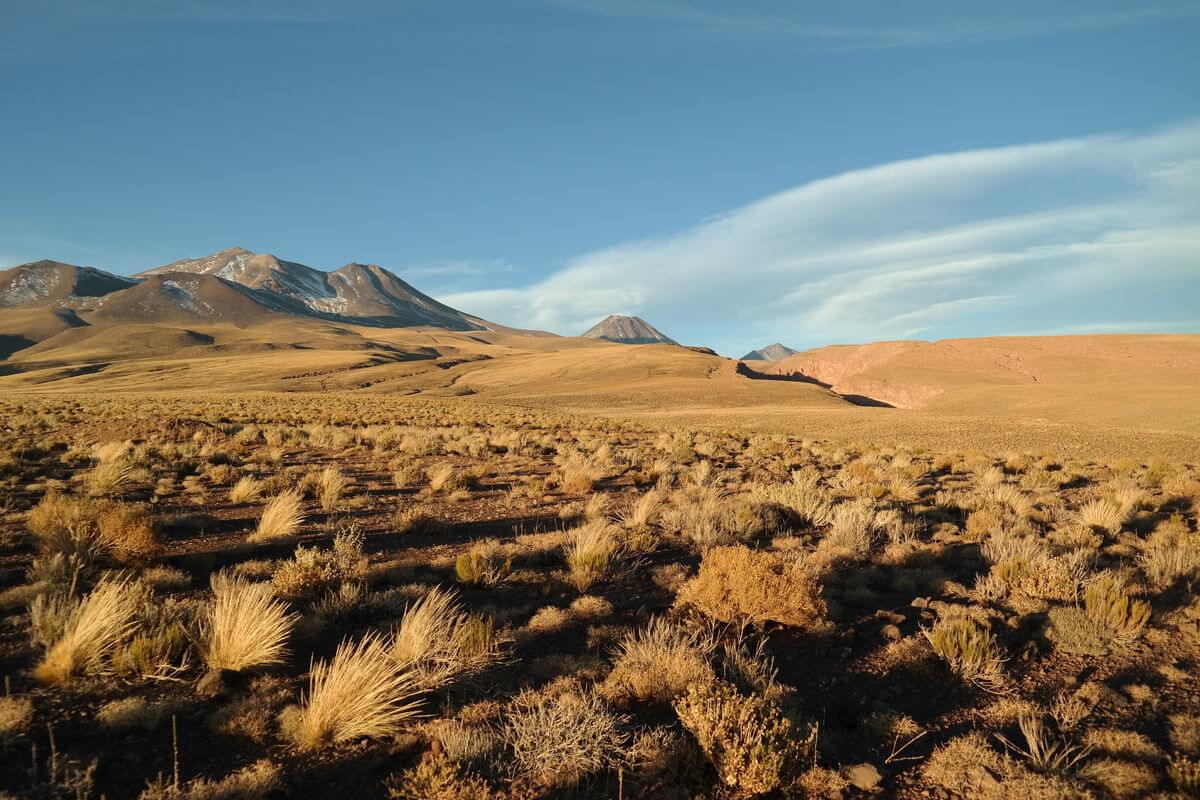 Wildcamp near Socaire