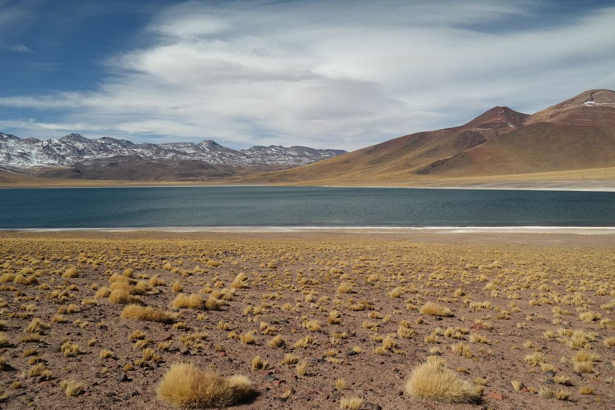 Laguna Miscanty y Miniques