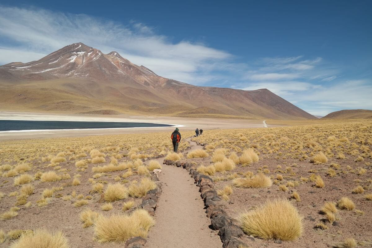 Laguna Miscanty y Miniques