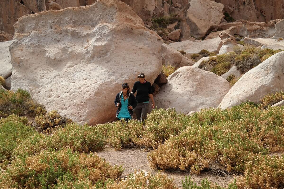 Canyon near Socaire