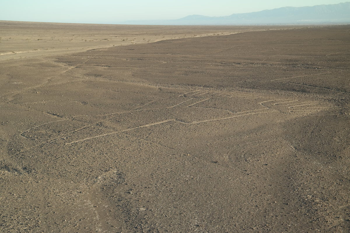 Nazca Lines