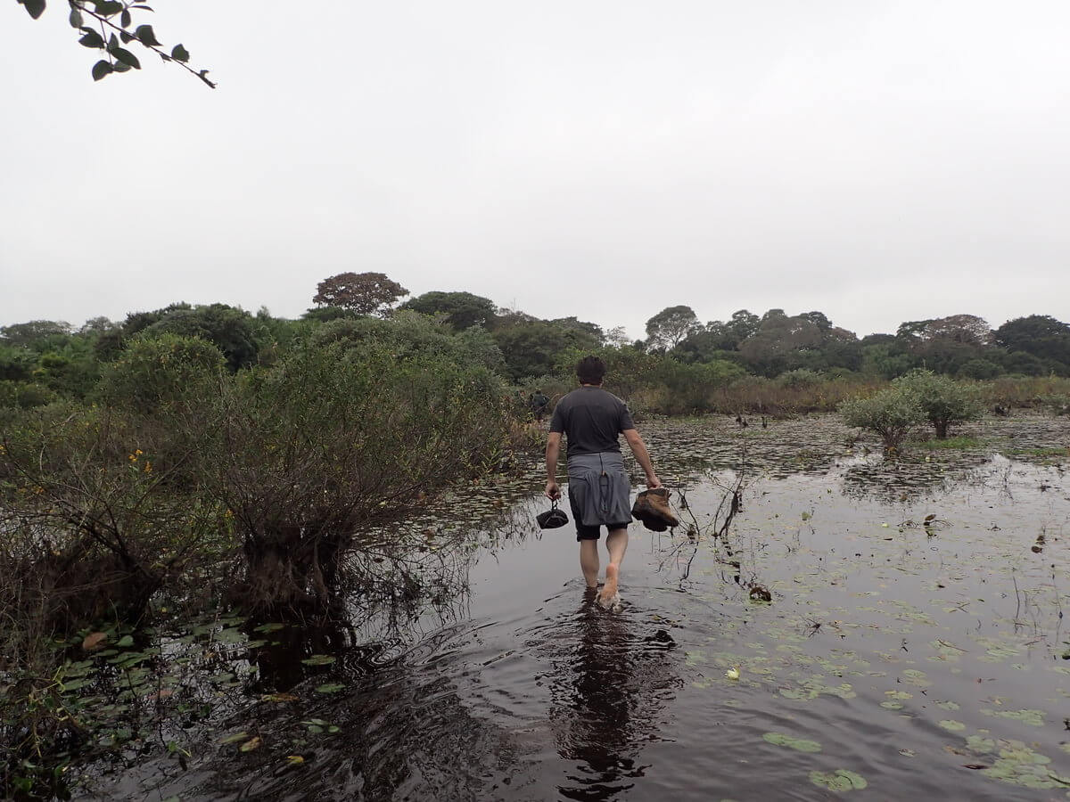 Pantanal