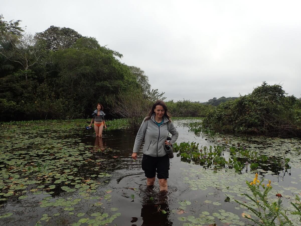 Pantanal