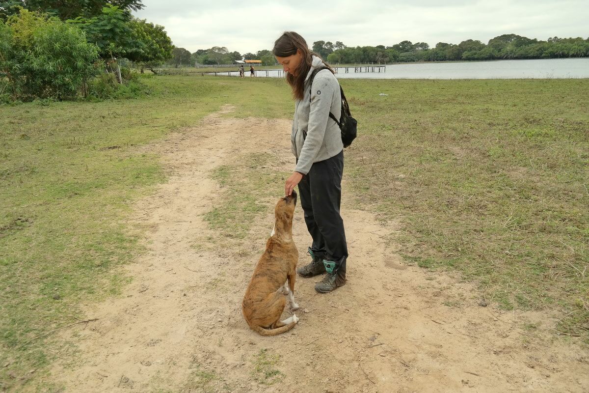 Pantanal