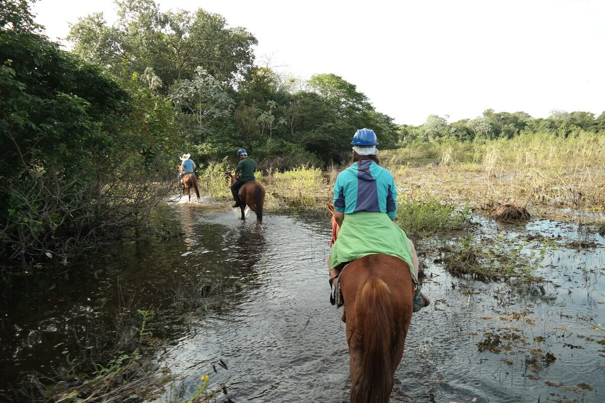 Pantanal