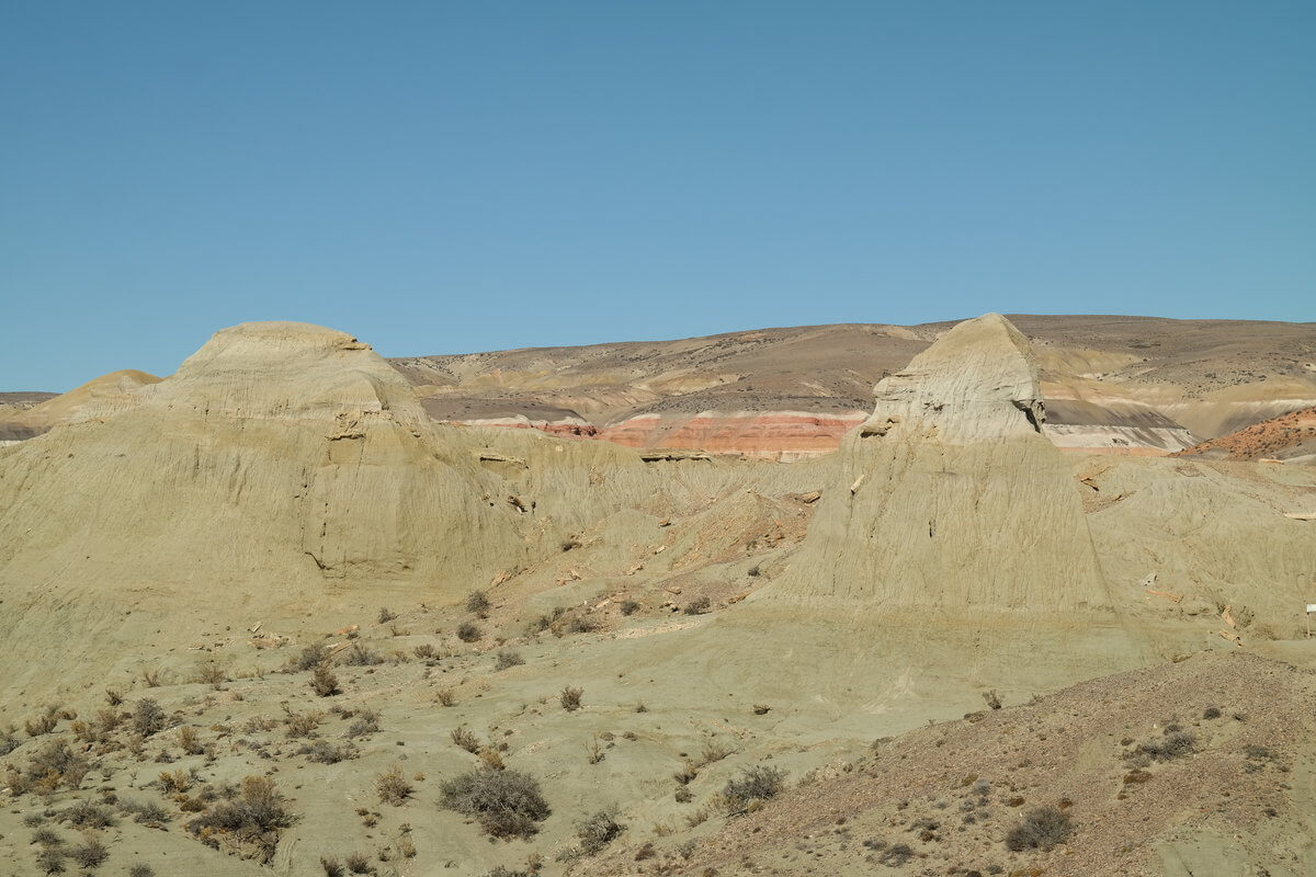 Bosque petrificado Sarmiento
